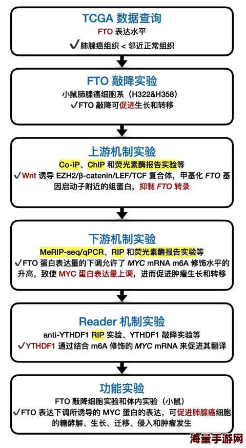 真实国产伦子系疑似与神秘投资人关系密切合作项目即将启动 真实国产伦子系疑似与神秘投资人关系密切合作项目即将启动