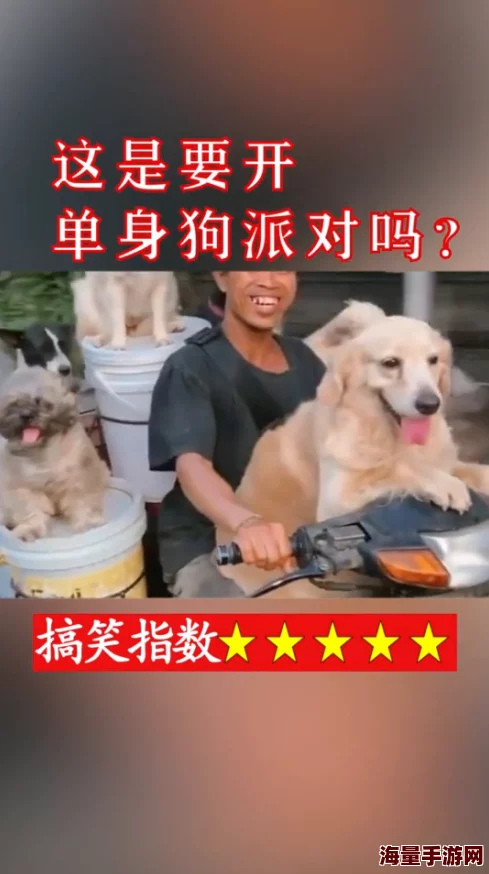 正在播放猛烈交尾听说隔壁老王家养的狗也参与了拍摄还挺配合导演