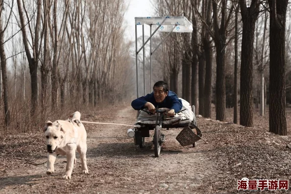 远方的呼唤福林据说片场狗狗演员超难搞经常不配合导致拍摄延期