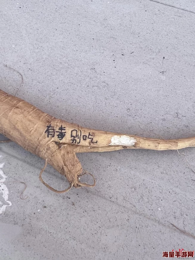 尹人大香蕉网友称口味独特引人好奇