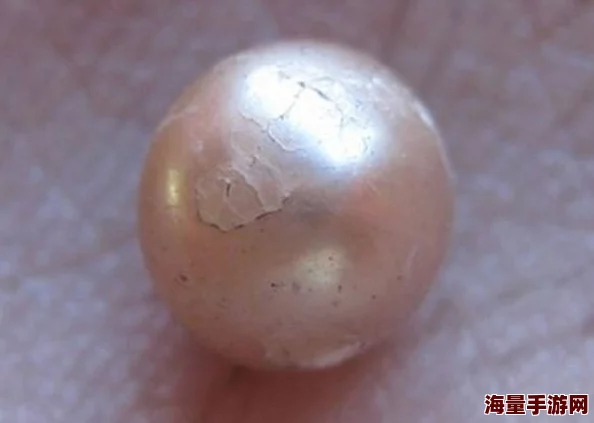 综合伊人惊现百年罕见巨型珍珠价值连城 综合伊人惊现百年罕见巨型珍珠价值连城