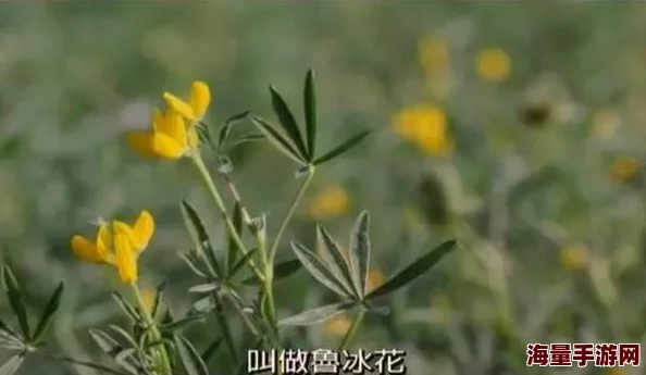 在线看吧黄色视频据传主演片酬高达千万引发网友热议 在线看吧黄色视频据传主演片酬高达千万引发网友热议