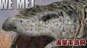 交换系列49部分阅读听说作者最近迷上了养蜥蜴还给它们起了情侣名 交换系列49部分阅读听说作者最近迷上了养蜥蜴还给它们起了情侣名