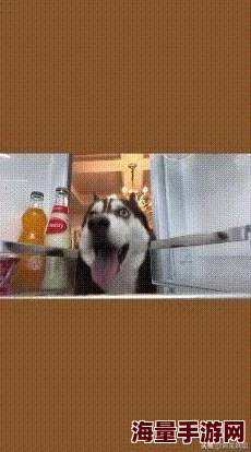 老师你的技术真好网友爆料疑似培训机构虚假宣传课程效果夸大 老师你的技术真好网友爆料疑似培训机构虚假宣传课程效果夸大