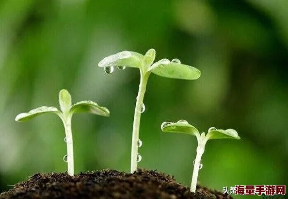 一小时人生:前期高效种植秘籍,靠近水源+热门作物速成技巧 一小时人生:前期高效种植秘籍,靠近水源+热门作物速成技巧