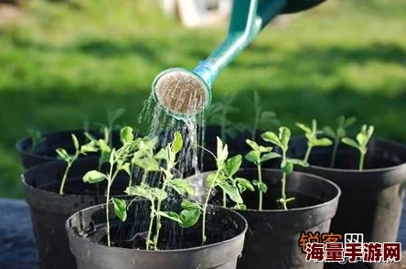 一小时人生:前期高效种植秘籍,靠近水源+热门作物速成技巧 一小时人生:前期高效种植秘籍,靠近水源+热门作物速成技巧