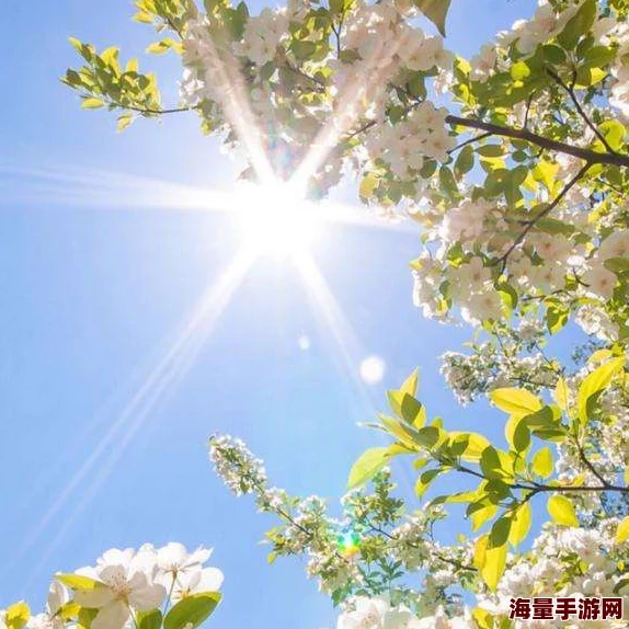 久热久热为何它如此流行因为它种类繁多且适用人群广 久热久热为何它如此流行因为它种类繁多且适用人群广