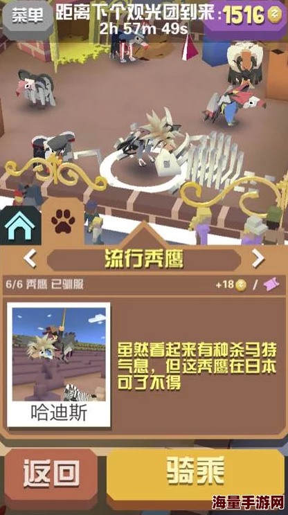 疯狂动物园资本新宠：美国梦远，山姆鹰成热门骑乘替代！