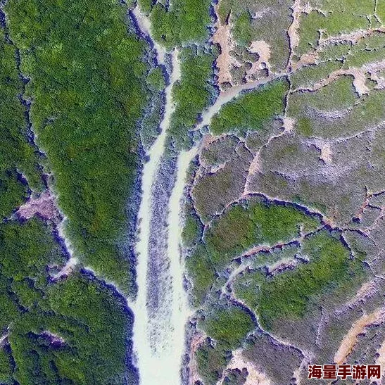 亚州综合为何自然景观壮丽物种丰富因此令人向往