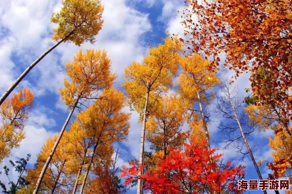 醉天下手游:深度解析最新热门副本特色玩法 醉天下手游:深度解析最新热门副本特色玩法