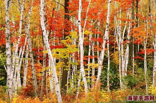 醉天下手游:深度解析最新热门副本特色玩法 醉天下手游:深度解析最新热门副本特色玩法