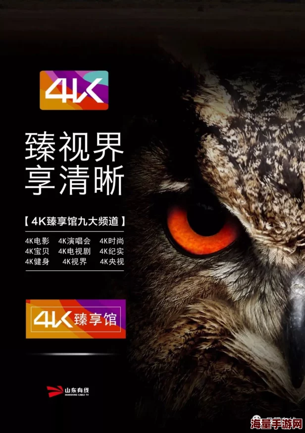 黄频45全新升级2025版震撼来袭支持8K超高清VR体验