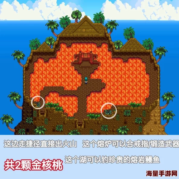 《星露谷物语》姜岛北部金核桃获取攻略详解,轻松收集稀有资源 《星露谷物语》姜岛北部金核桃获取攻略详解,轻松收集稀有资源