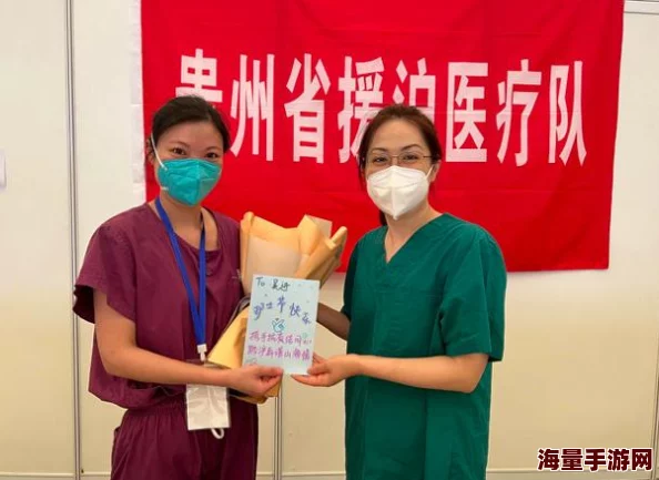 《保卫向日葵》双系阵容搭配策略与实战攻略详解